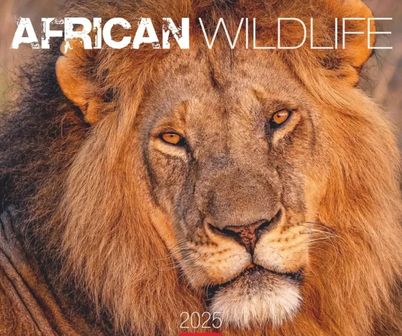 Weingarten African Wildlife Kalender 2025