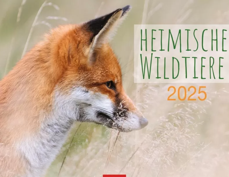 Weingarten Heimische Wildtiere Kalender 2025