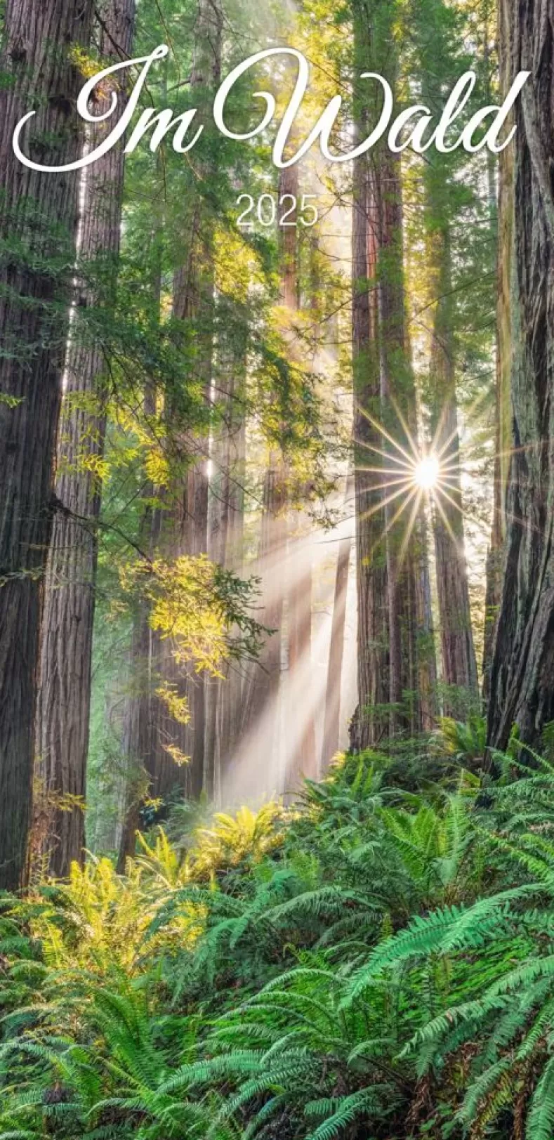 Weingarten Im Wald Kalender 2025