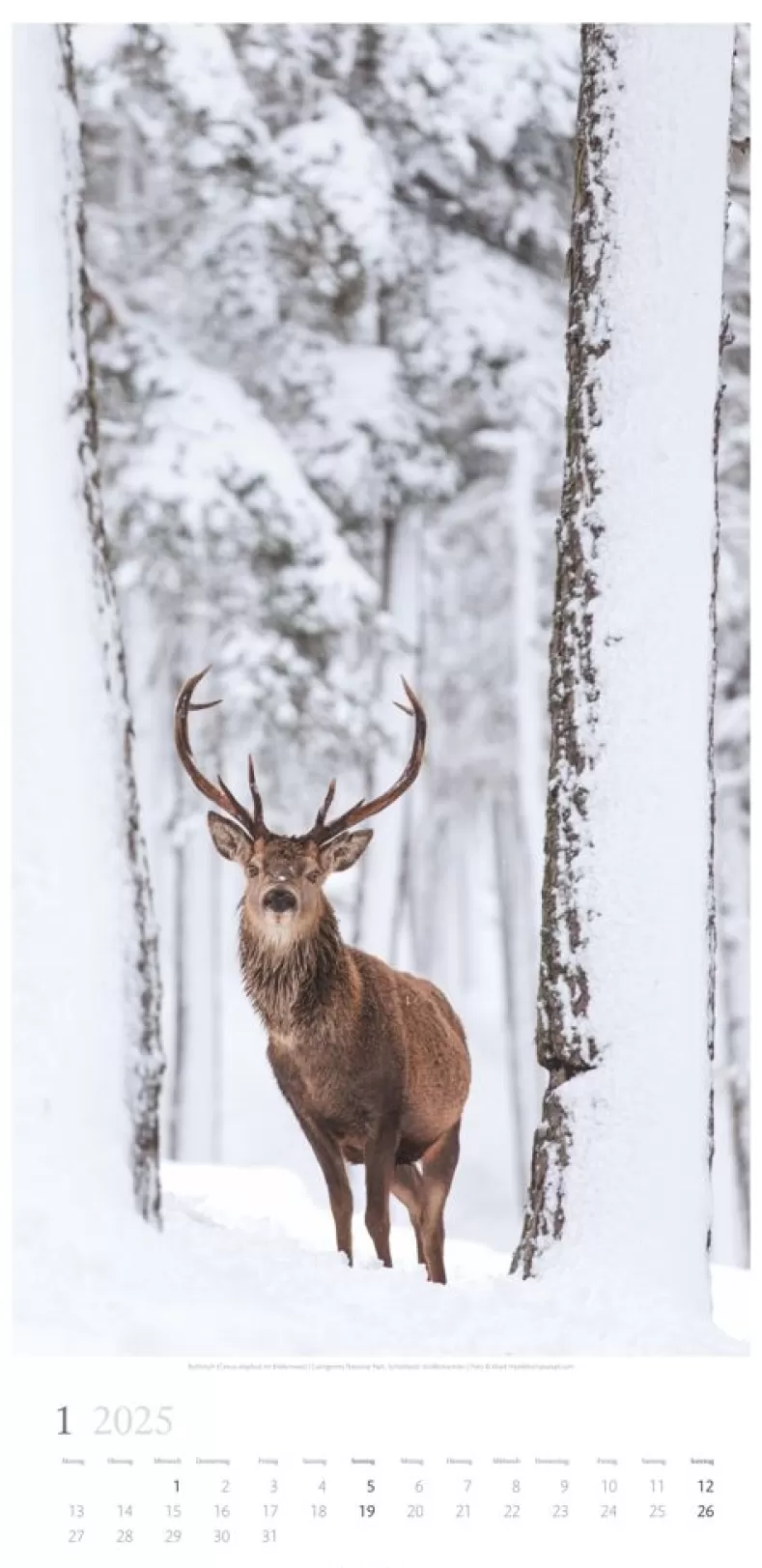 Weingarten Im Wald Kalender 2025