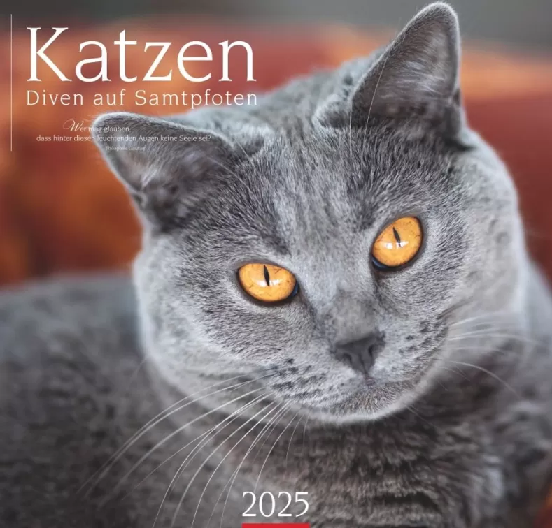 Weingarten Katzen Diven Auf Samtpfoten Kalender 2025