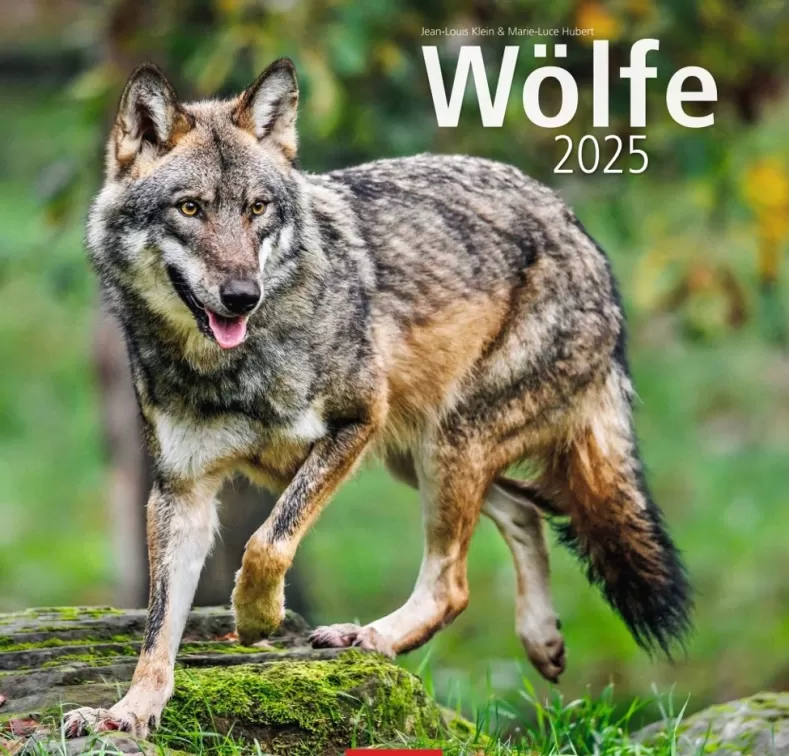 Weingarten Wolfe Kalender 2025